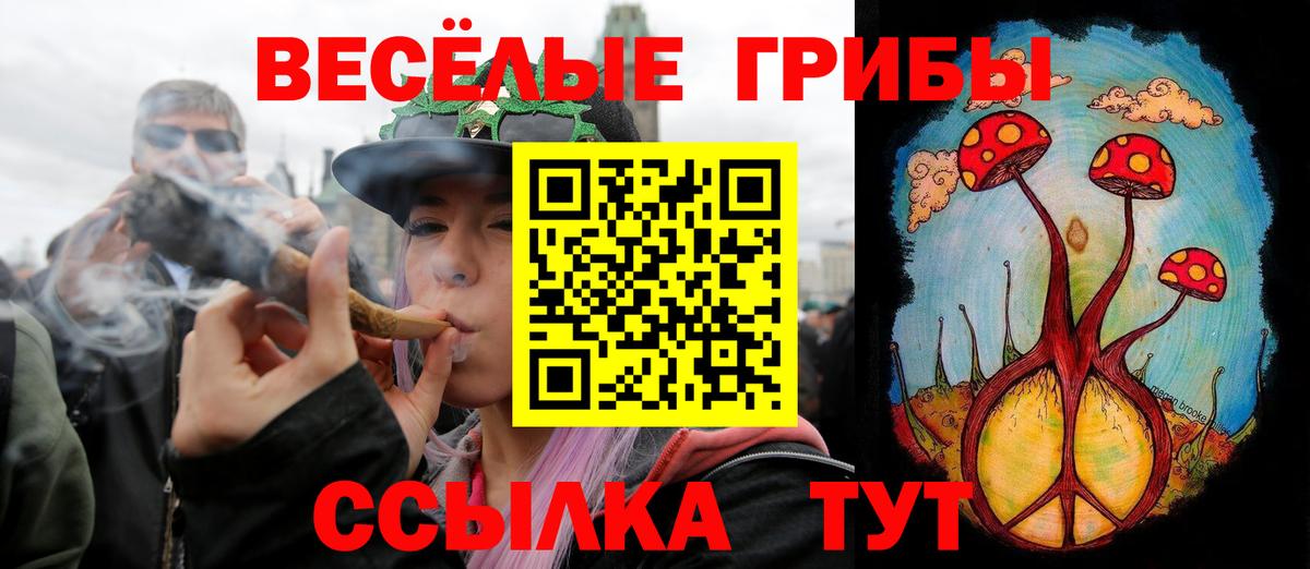 Псилоцибиновые грибы MAGIC MUSHROOMS Дубна